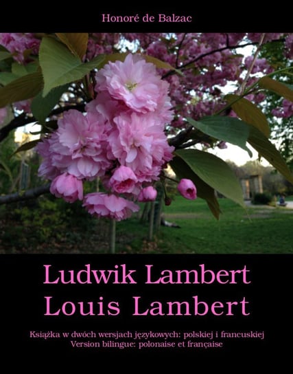 Ludwik Lambert. Louis Lambert De Balzac Honore
