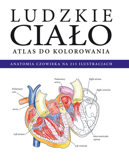 Ludzkie Ciało Atlas Do Kolorowania Opracowanie Zbiorowe Książka W Empik 7318