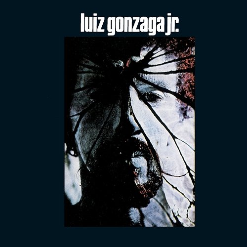 Luiz Gonzaga Jr - Gonzaguinha Luiz Gonzaga