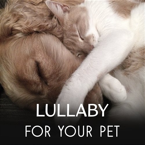 Lullaby for Your Pet - Relaxing Music for Dogs & Cats, Calming Sounds to Reduce Stress of Animals, Music Therapy for Pets Comfort & Happiness Cats Music Zone