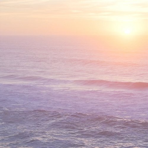Luminate Jay Ocean