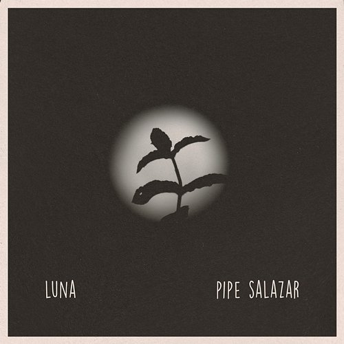 Luna Pipe Salazar