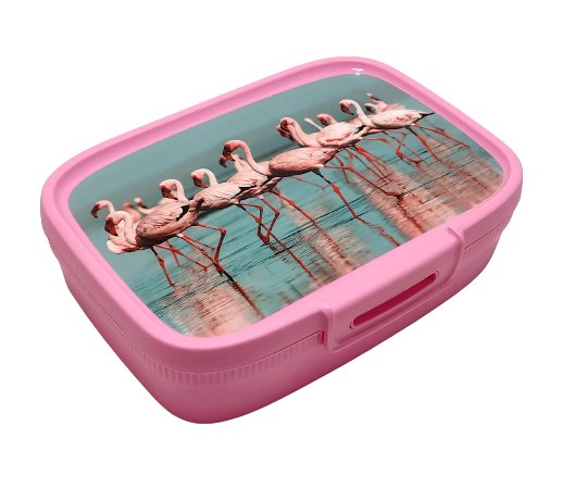 Lunchbox Curver 1.3 L - Flamingi Curver