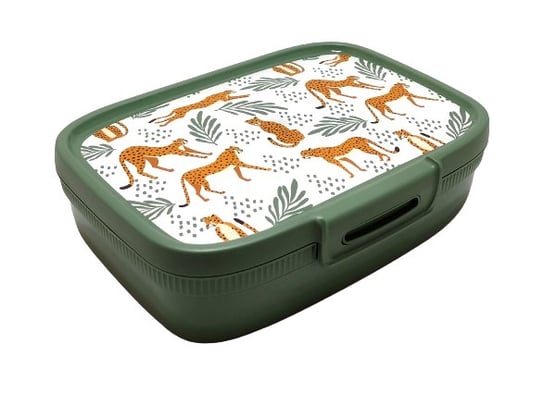 Lunchbox Curver 1.3 L - Gepard Curver