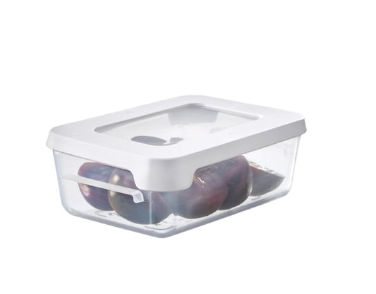 Lunchbox Pojemnik Na Żywność 0,3 L Orthex Orthex