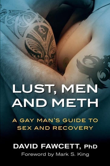 Lust, Men, and Meth Fawcett David Michael