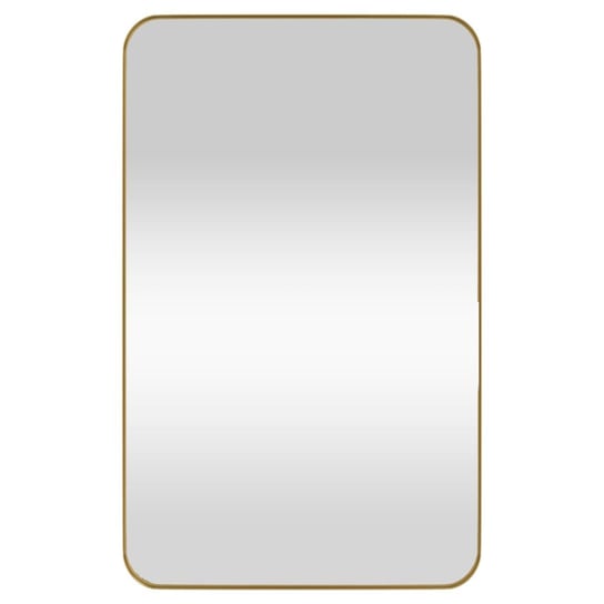 Lustro ścienne klasyczne 50x80 cm, złota rama / AAALOE Inna marka