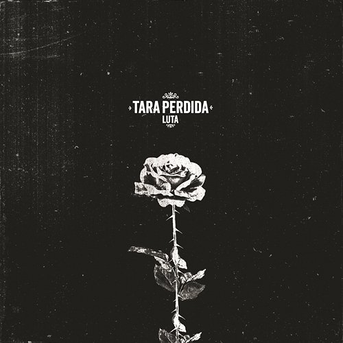 Luta Tara Perdida
