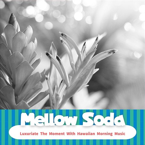 Luxuriate the Moment with Hawaiian Morning Music Mellow Soda
