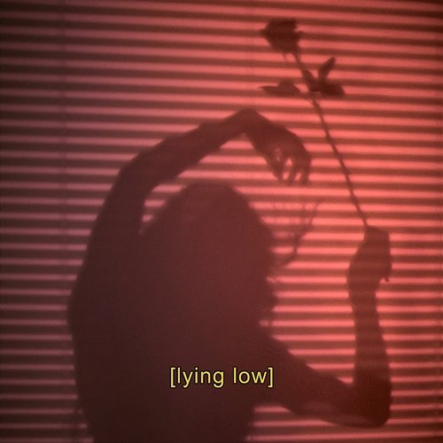 Lying Low Tim Wheatley