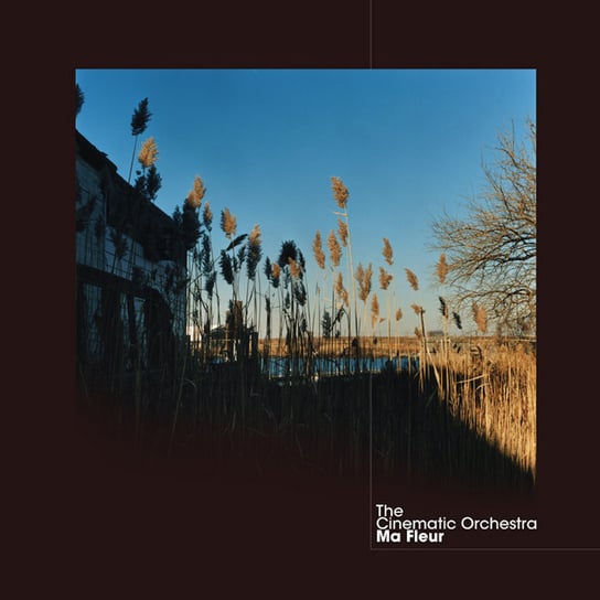 Ma Fleur 2021 Reissues The Cinematic Orchestra