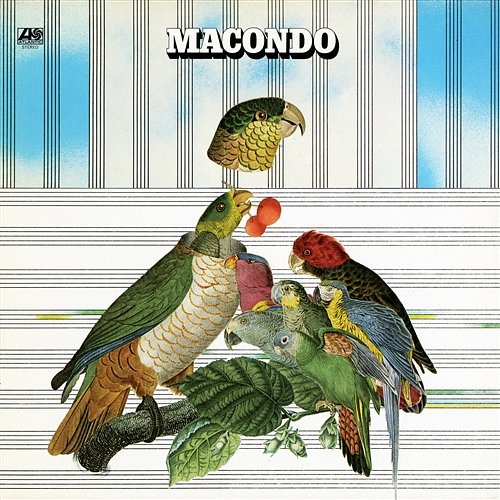 Almendra Macondo