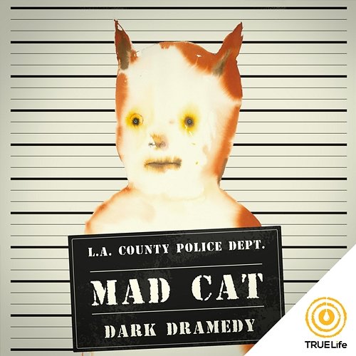 Mad Cat iSeeMusic, iSee Cinematic