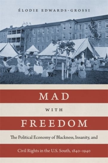 Mad with Freedom: The Political Economy of Blackness, Insanity, and Civil Rights in the U.S. South, 1840-1940 Louisiana State University Press