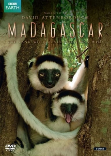 Madagascar (brak polskiej wersji językowej) 2 Entertain