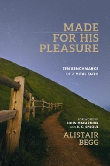 MADE FOR HIS PLEASURE Begg Alistair