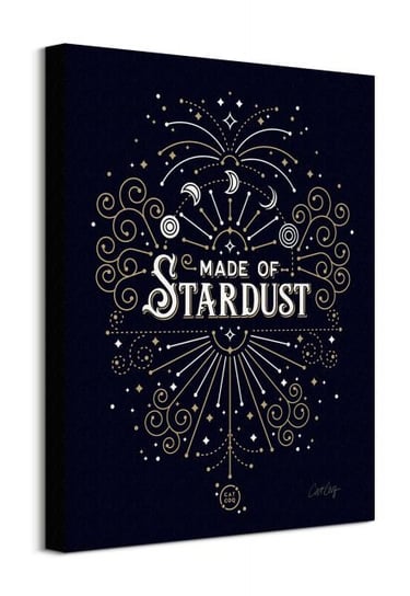 Made of Stardust - obraz na płótnie Pyramid International