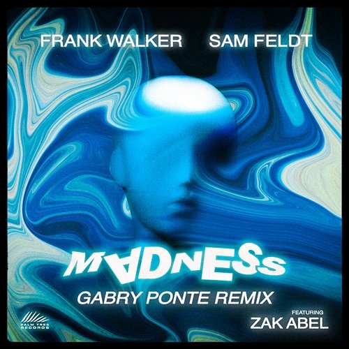 Madness Frank Walker feat. Sam Feldt, Zak Abel