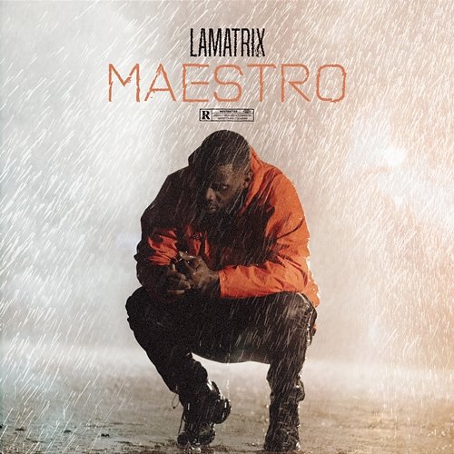 Maestro Lamatrix