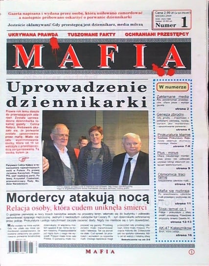 Mafia Wizar Reklama Przestrzenna Sp. z o.o.