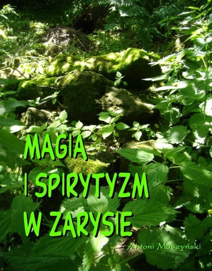 Magia i spirytyzm w zarysie Moszyński Antoni