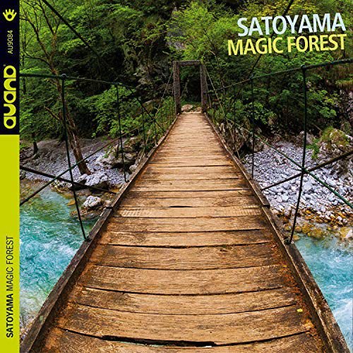 Magic Forest Various Artists