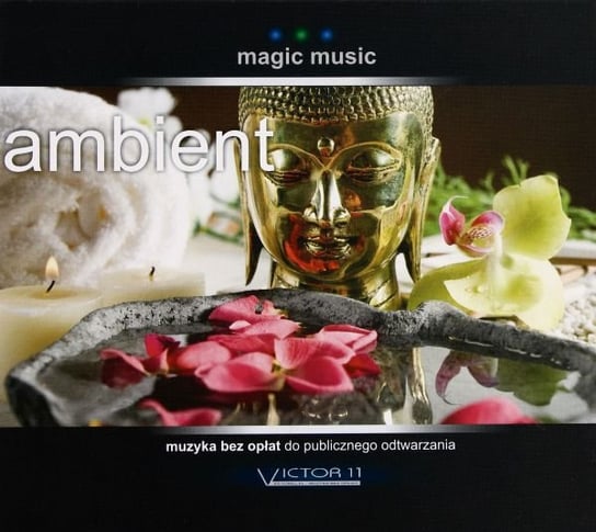 Magic music: Ambient Various Artists