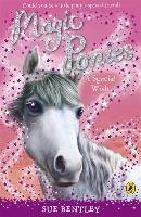 Magic Ponies: A Special Wish Bentley Sue