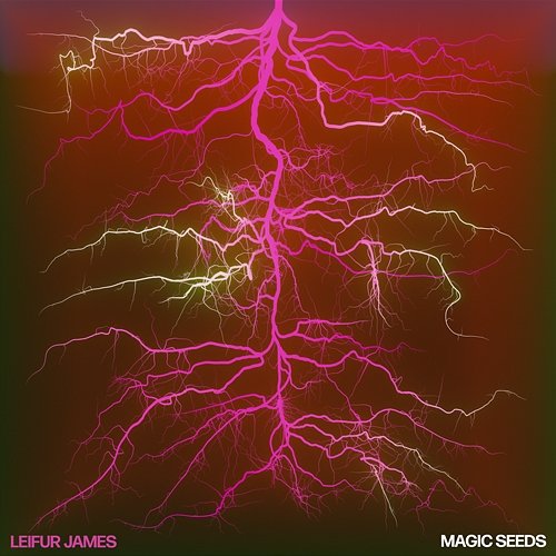 Magic Seeds Leifur James
