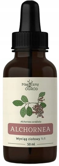 Magiczny Ogród, Alchornea cordifolia nalewka, Suplement diety, 50ml Nanga