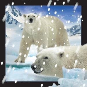 Magnes 3D Niedźwiedzie polarne w śniegu Worth Keeping