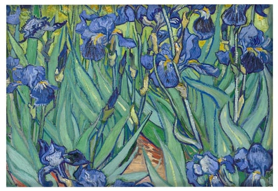 Magnes Irysy Vincent Van Gogh Inna marka