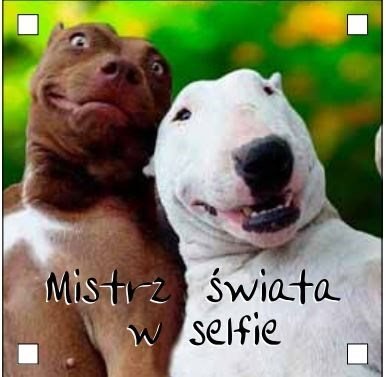 Magnes, Mistrz świata w selfie Inna marka