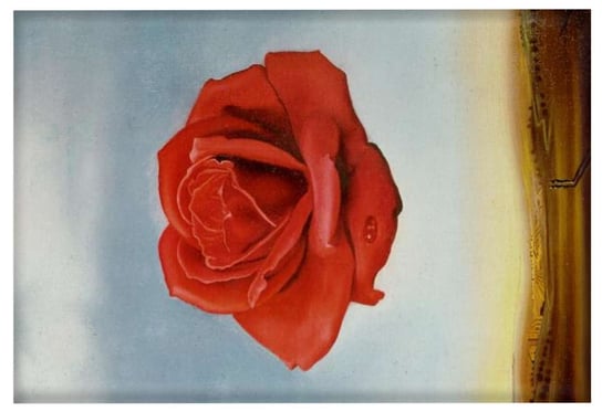 Magnes Róża medytacyjna Salvador Dali Inna marka