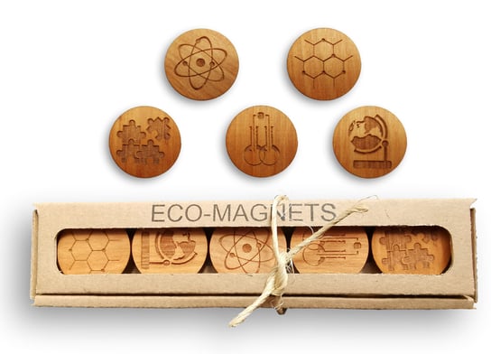 Magnesy ekologiczne do tablic, wzory szkolne, 5 sztuk Magnetina