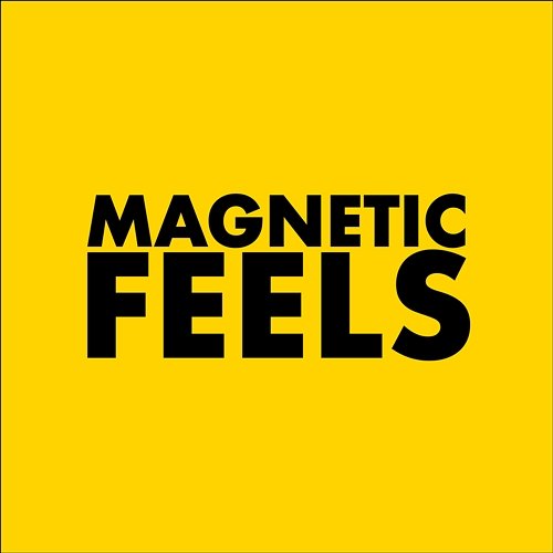 Magnetic Feels Fred Well