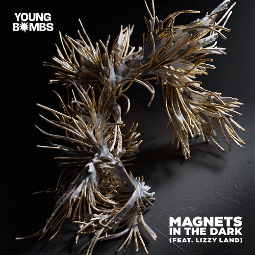 Magnets in the Dark Young Bombs feat. Lizzy Land