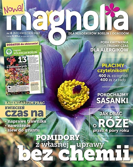 Magnolia 4/2017 Opracowanie zbiorowe