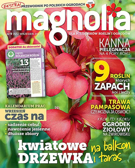 Magnolia 9/2017 Opracowanie zbiorowe
