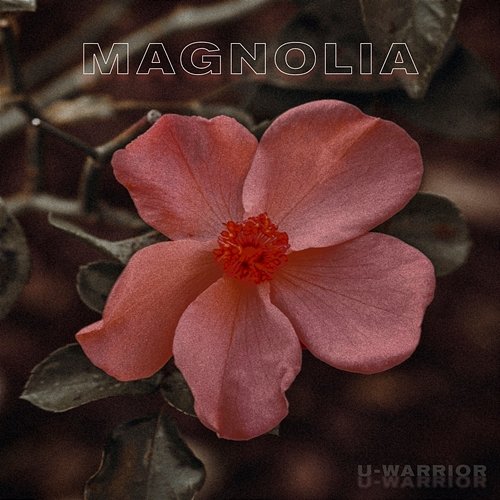Magnolia U-WARRIOR