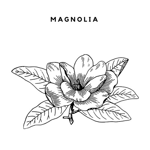 Magnolia Lil Espionage feat. Réz, Con-Way, Aubrie Sedona