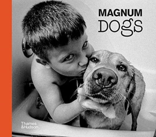 Magnum Dogs Magnum Photos