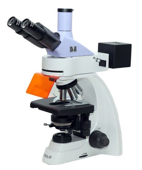 MAGUS, Mikroskop fluorescencyjny MAGUS Lum 400L MAGUS
