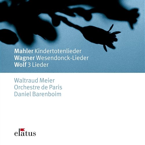 Wagner / Arr Mottl : Wesendonck Lieder : I Der Engel Waltraud Meier