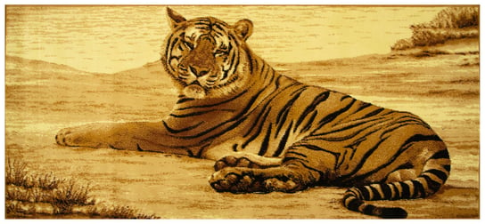 Makata tygrys beż-100x210 cm Inna marka