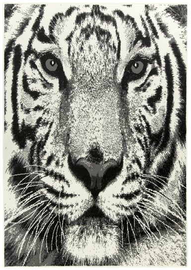 Makatka Nairobi tygrys 543151/56933-140x200 cm Inna marka