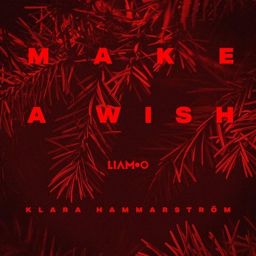 Make a Wish LIAMOO, Klara Hammarström