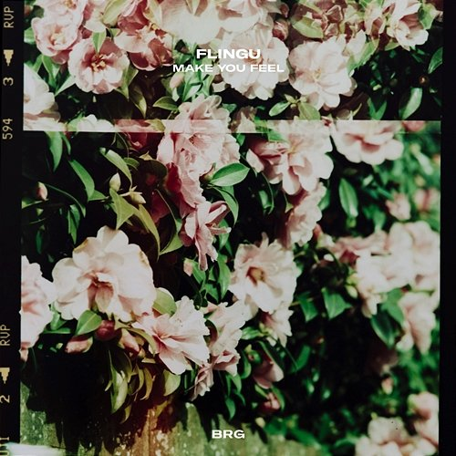 Make You Feel Flingu & BRG Beats