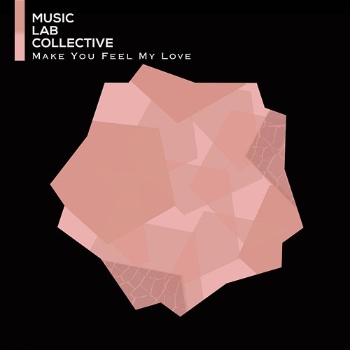 Make You Feel My Love Music Lab Collective