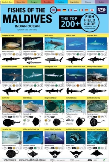 Maldives Fish Field Guide Top 200+ Tim Godfrey, Rudie Kuiter